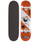 Kompletta skateboards