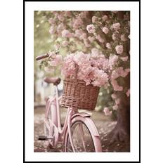 Pink Bicycle and Blossoms Plakat (40x50cm) - Plakater  > Fotografiske Plakater, Forårsplakater