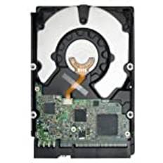 Seagate ST33000650SS 3TB, 7200 RPM, SAS intern hårddisk