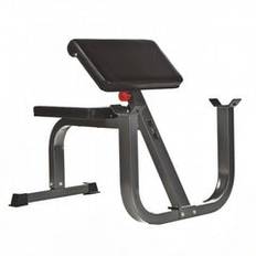 Preacher curl bench