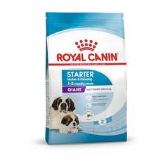 Royal Canin Giant Starter fulfoder til tæver og hvalpe (>45 kg.) 15 kg.