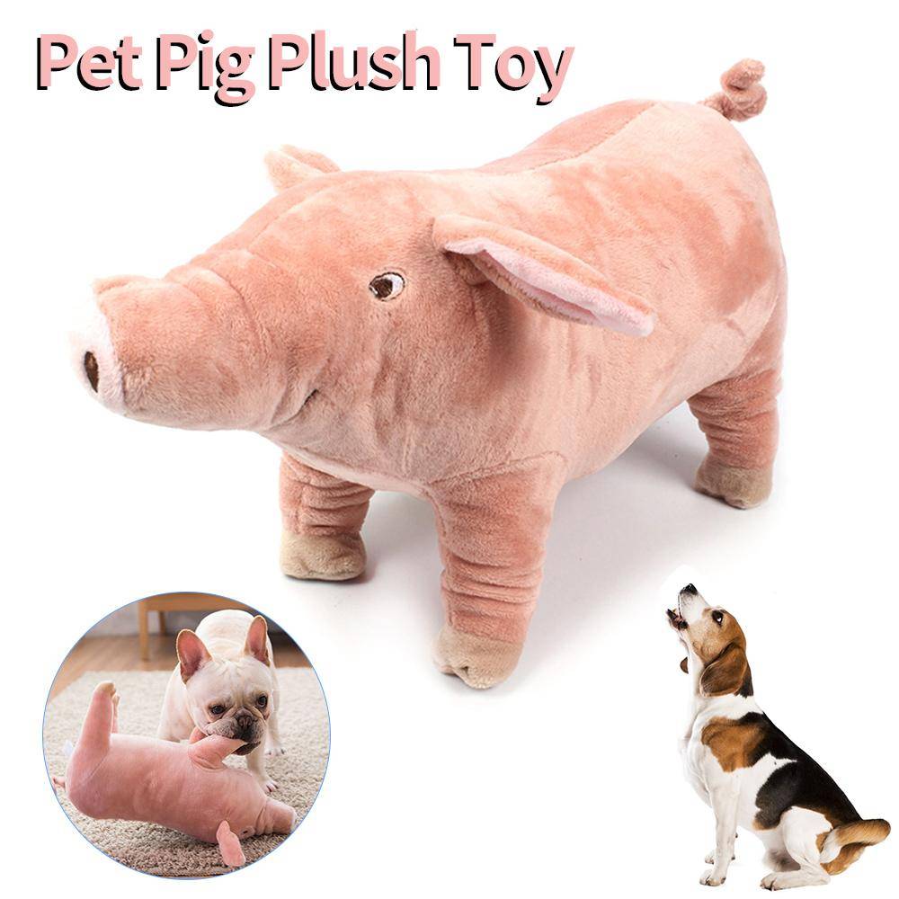 Söt Gosedjur Gris Fransk Bulldog Tuggben för Hundar Bitbeständig Husdjurshund Leksak Utloppsdocka Sova med Djur Mascotas Tillbehör beige