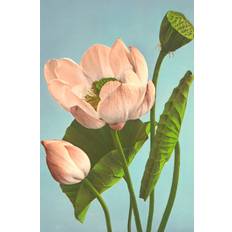 The Dybdahl Co. - Affisch Triple Lotus - Vit