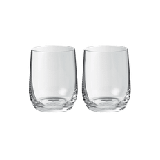 Rheolog Glas 37,5 cl- 2 st.