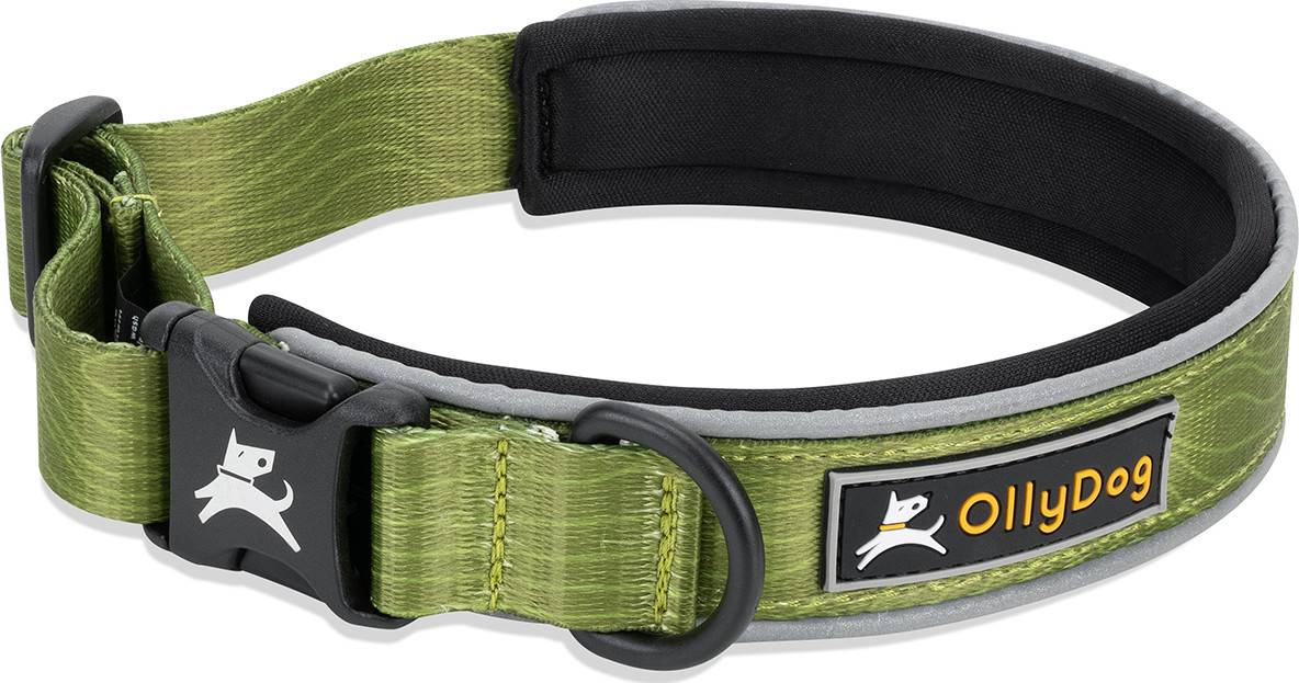 OllyDog Flagstaff Reflective Comfort Collar Cactus, L