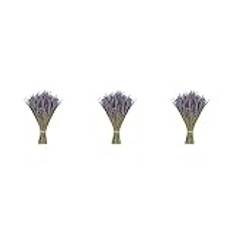 Allayu 3 Set of Naturlig torkad lavendel Lätt nyskördad lavendel Blombukett rekvisita för gör-det-själv-tillbehör 100g, Torkad lavendel 100 g, 3Uppsättning