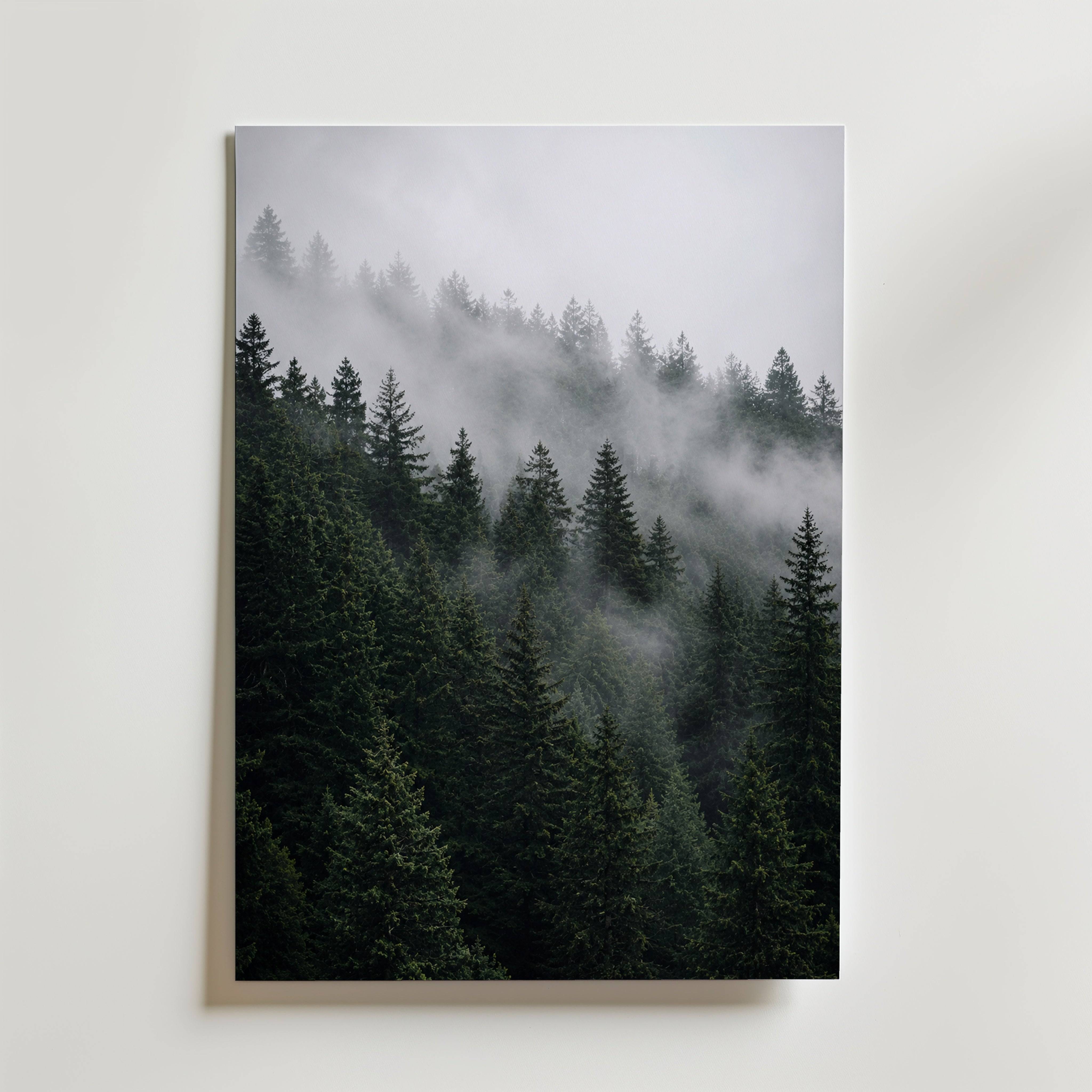 Misty Pine Forest Poster - Premium Canvas 50x70 cm