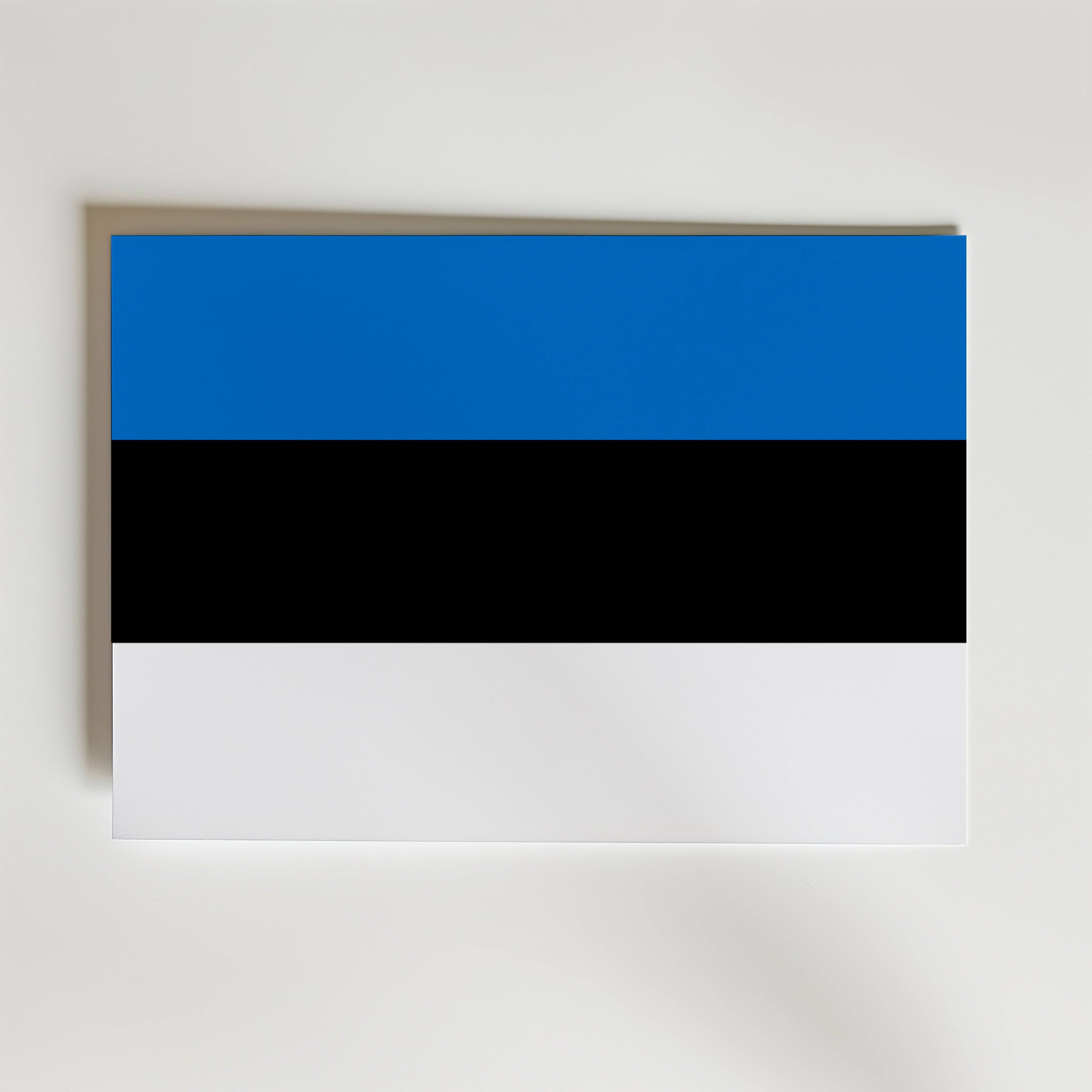 Estonia National Flag Poster - Poster 50x40 cm