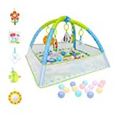 Dr.Rapeti Baby Play Mat, Baby Play Gym, Playmats & Floor Gyms, Spädbarnsaktivitet Gym Mat, Play Mat med Play Arch, löstagbar spegel, mjuk bok och bollar leksaker, tjocka icke-toxiska Playmats