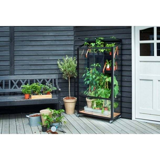 Juliana Urban City Greenhouse m/4mm hærdet glas