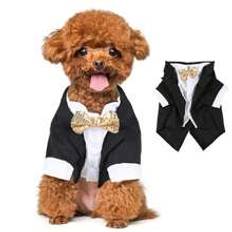 1pc Polyester Bow Knot Bow Tie Decorated Dog Suit Tuxedo With Tails, Suitable For Birthday, Wedding, Party, Cat & Dog Coat