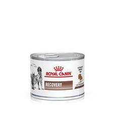 Royal Canin Veterinary Canine Recovery mousse