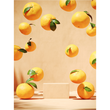 Venture Poster Lemons