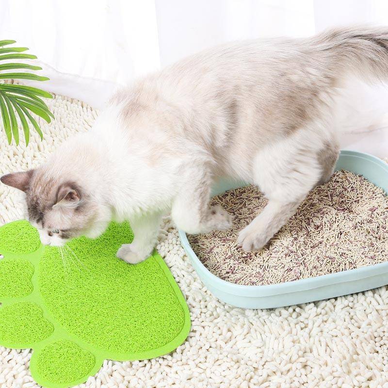 Kattlådematta Husdjursmåltidsmatta Smutsavvisande Halkfri Kudde Anti-klämning Fotstänkande Sandmatta Kattbur Fotmatta Hundmatta