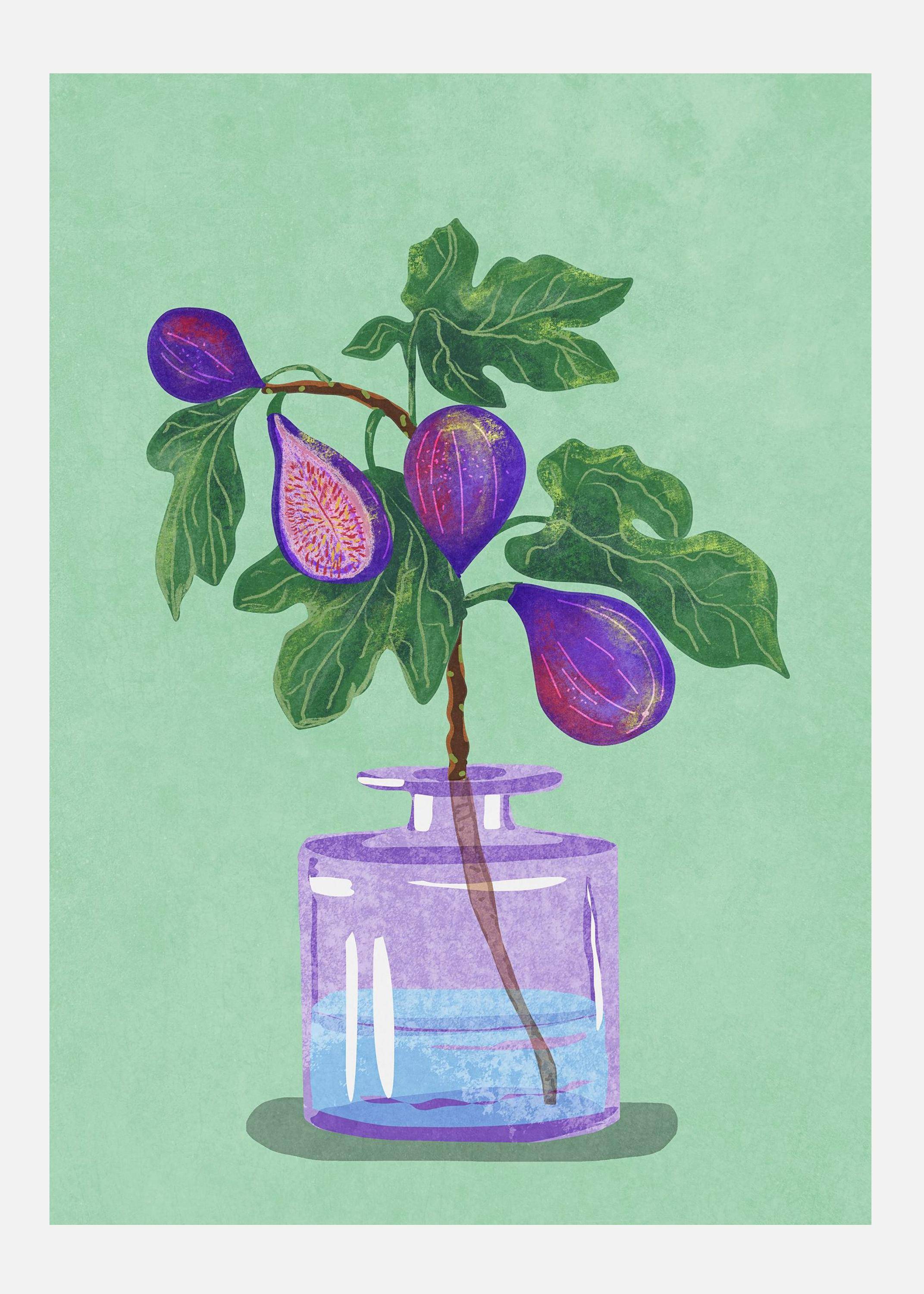 Figs Branch In Vase Canvastavla (100x140 cm)