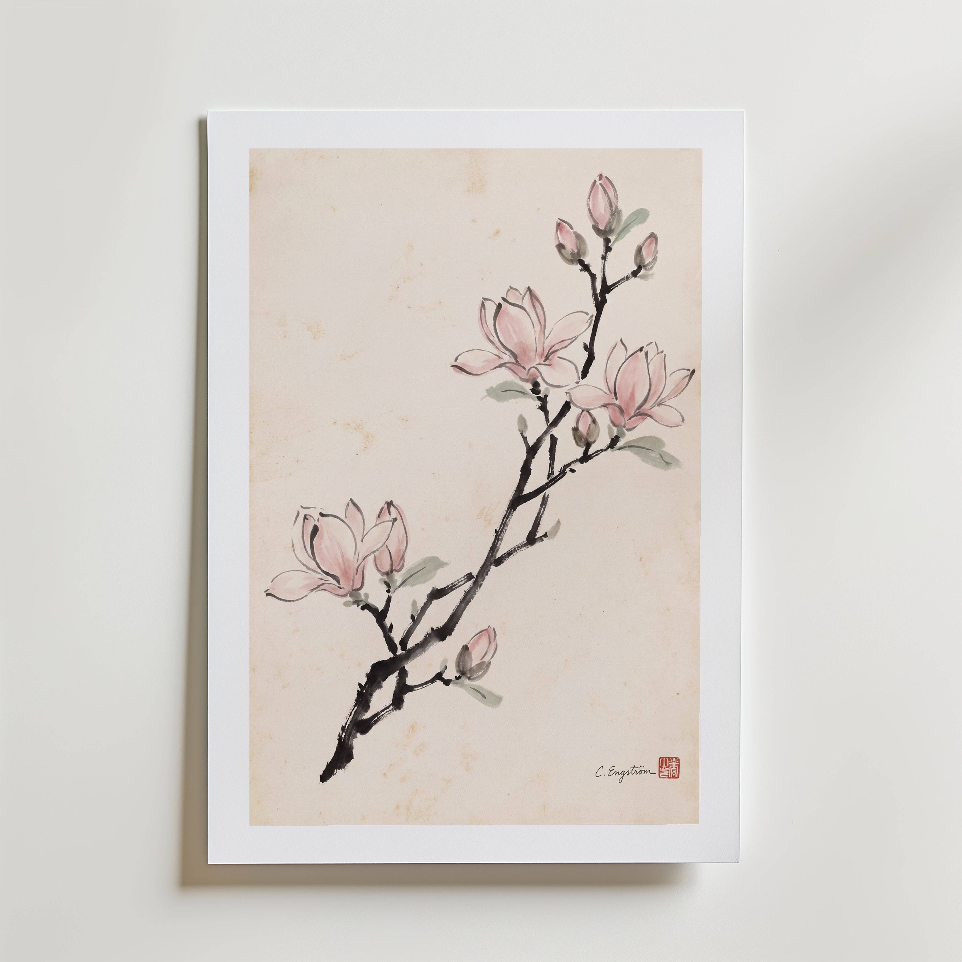 Magnolia By Caroline Engstr�m - Fine Art Poster 21x30 cm Med passepartout