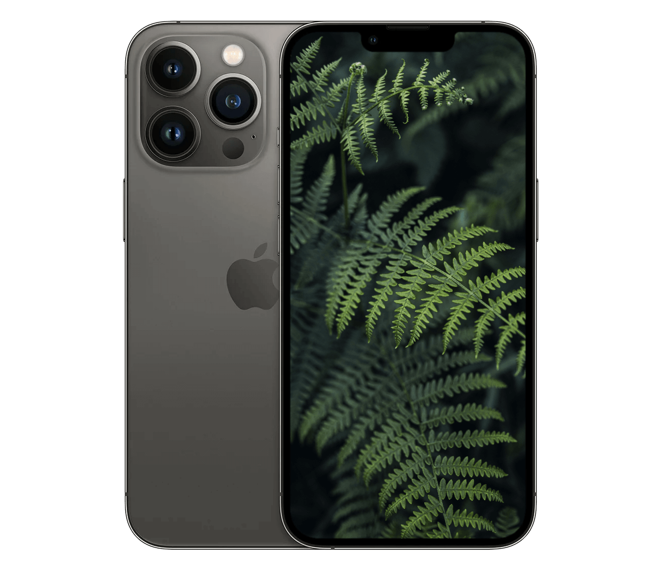 iPhone 13 Pro