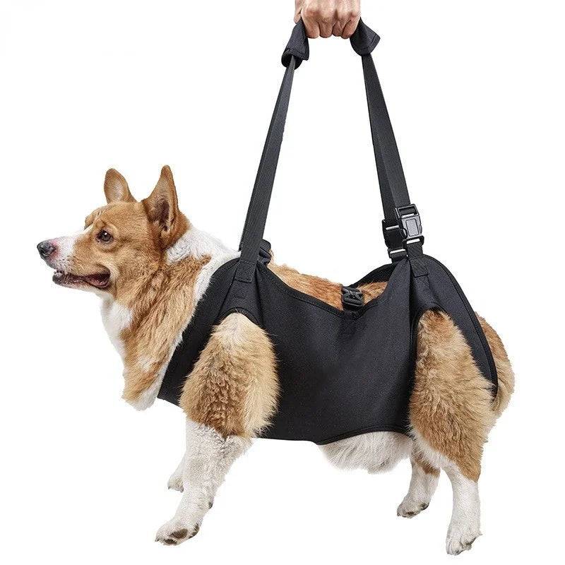 Full Body Dog Lift Harness - Adjustable Support Sling for Mobility and Rehabilitation - black / M (M)