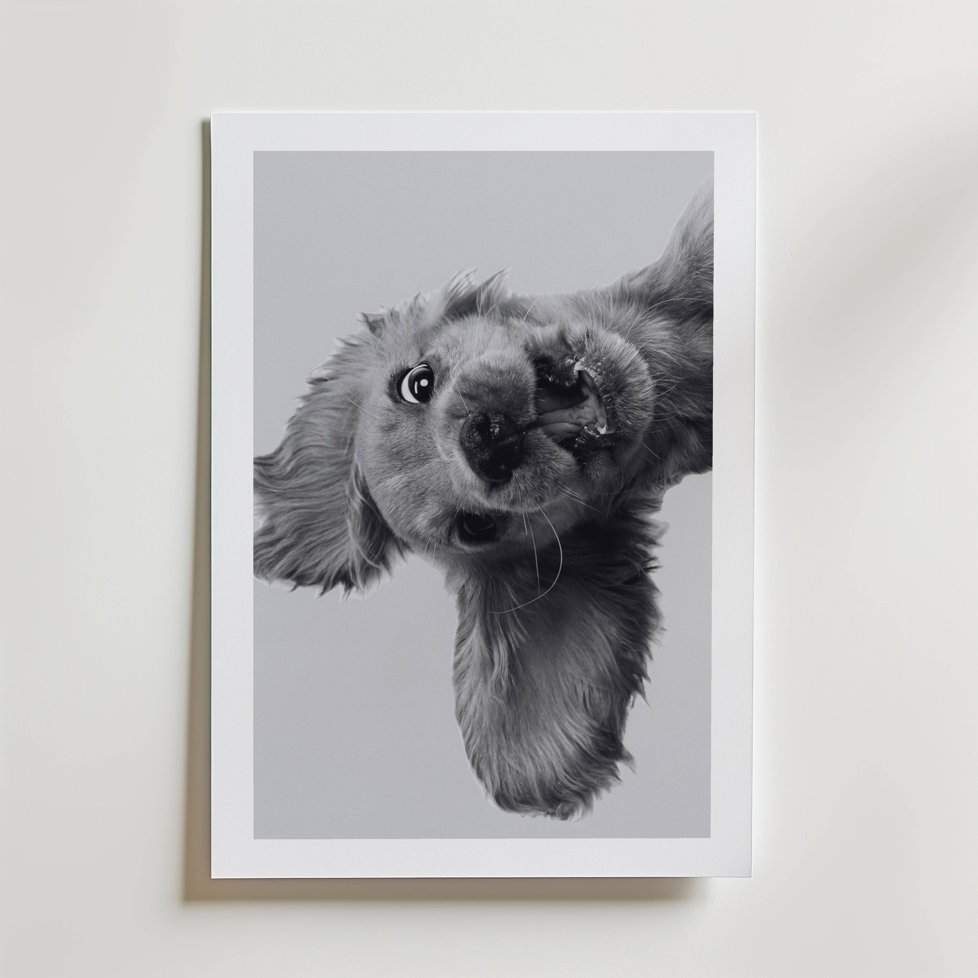 Puppy Play Poster - Premium Canvas 70x100 cm Med passepartout