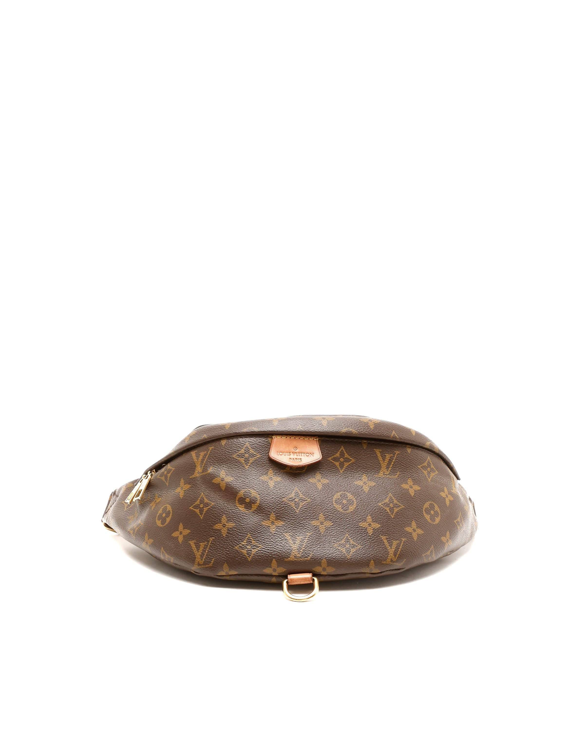 Louis Vuitton Monogram Bumbag - Brown - One Size