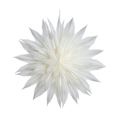 Lene Bjerre Palisia dekorationsstjärna Ø60 cm Off White - Vit