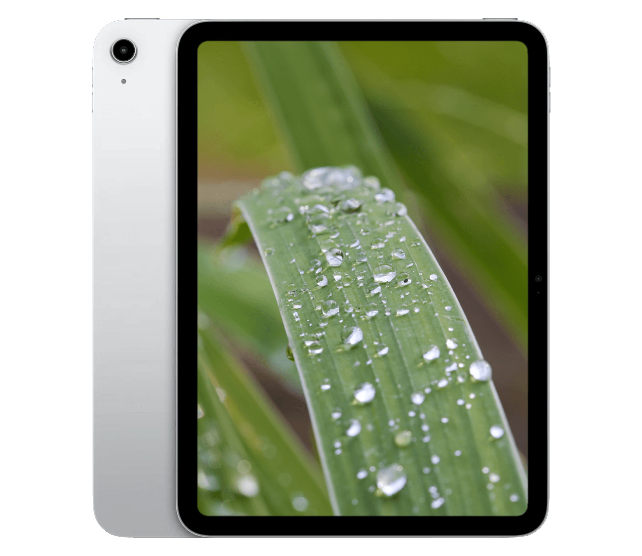 iPad A16 (2025) 11" WiFi