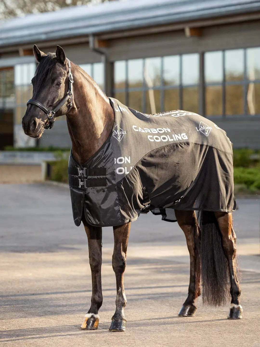 Lemieux - Carbon Cooler Rug - Black - 140 cm - Fri fragt og klar til levering