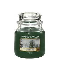 Candela Evergreen Mist Giara Media 411 gr