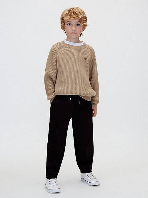 Calvin Klein  Kids Knit Raglan Jumper