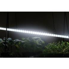 Växtbelysning Nelson Garden LED-ramp m adapter No1 15W