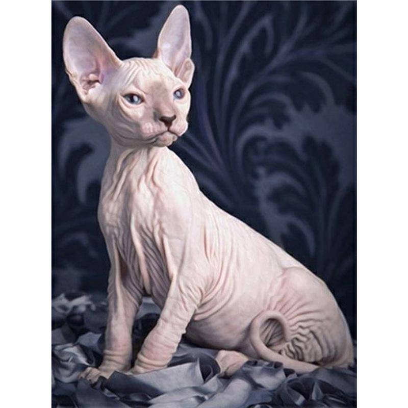 Diamond Sphynx Cat Brodery DIY-målning Mosaik Djur Heminredning Hel rund borrharts