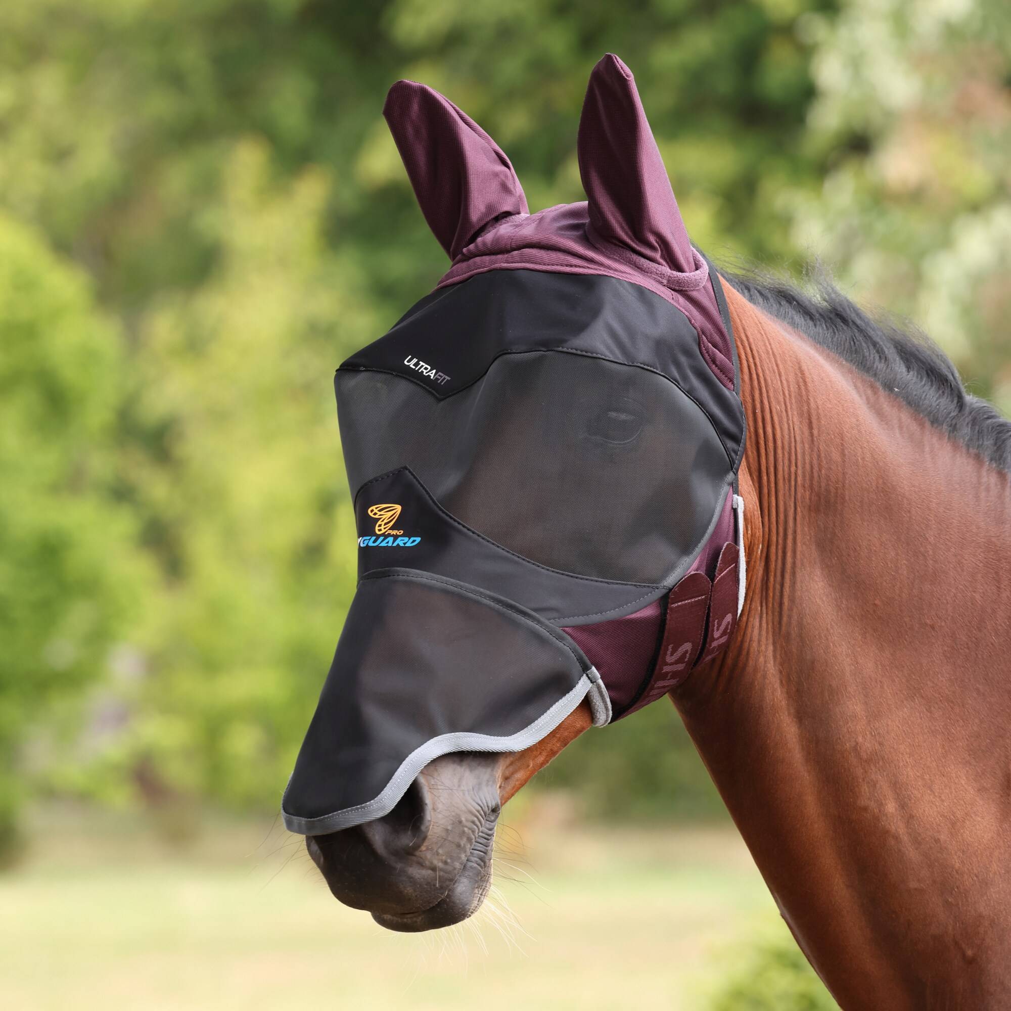 Deluxe Flughuva med Nos - Black/Cherry, Shires