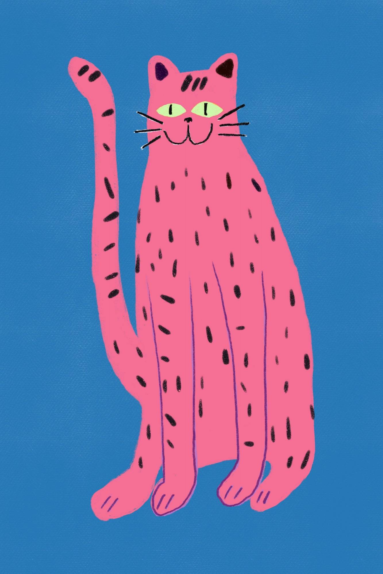 Pink cat Poster och Canvastavla - Poster / 21x30 cm
