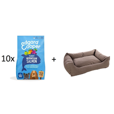 Edgard Cooper - 10x Fresh Norwegian Adult Laks 12kg + Hundeseng XXXL - Storkøb - Fri fragt og klar til levering - Prismatch