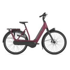 Gazelle AVIGNON C8 HMB Dame - Coral red