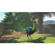 Zoo Tycoon: Ultimate Animal Collection Steam CD Key
