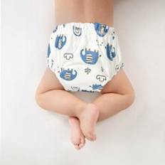 3pcs Moisture-Wicking And Breathable Baby Potty Training Pants