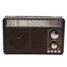 FM AM SW Radio Telescopic Antenna Multiple Band MP3 Player Radio Portable Vintage Radio with EU Plug
