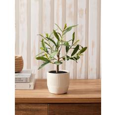 Next Green Artificial Mini Olive Tree in Ribbed Ceramic Pot