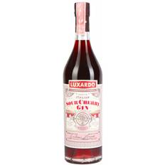 Sour Cherry Gin Luxardo