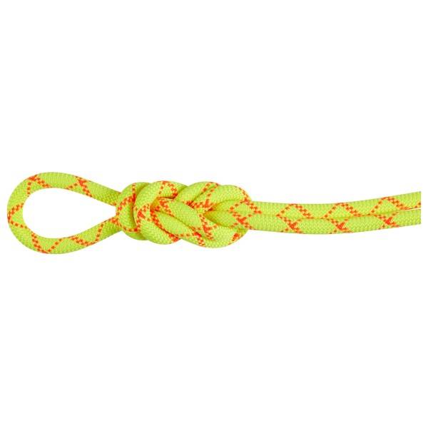 Mammut 9.5 Alpine Core Protect Dry Rope Helreb størrelse 40 m farve gul