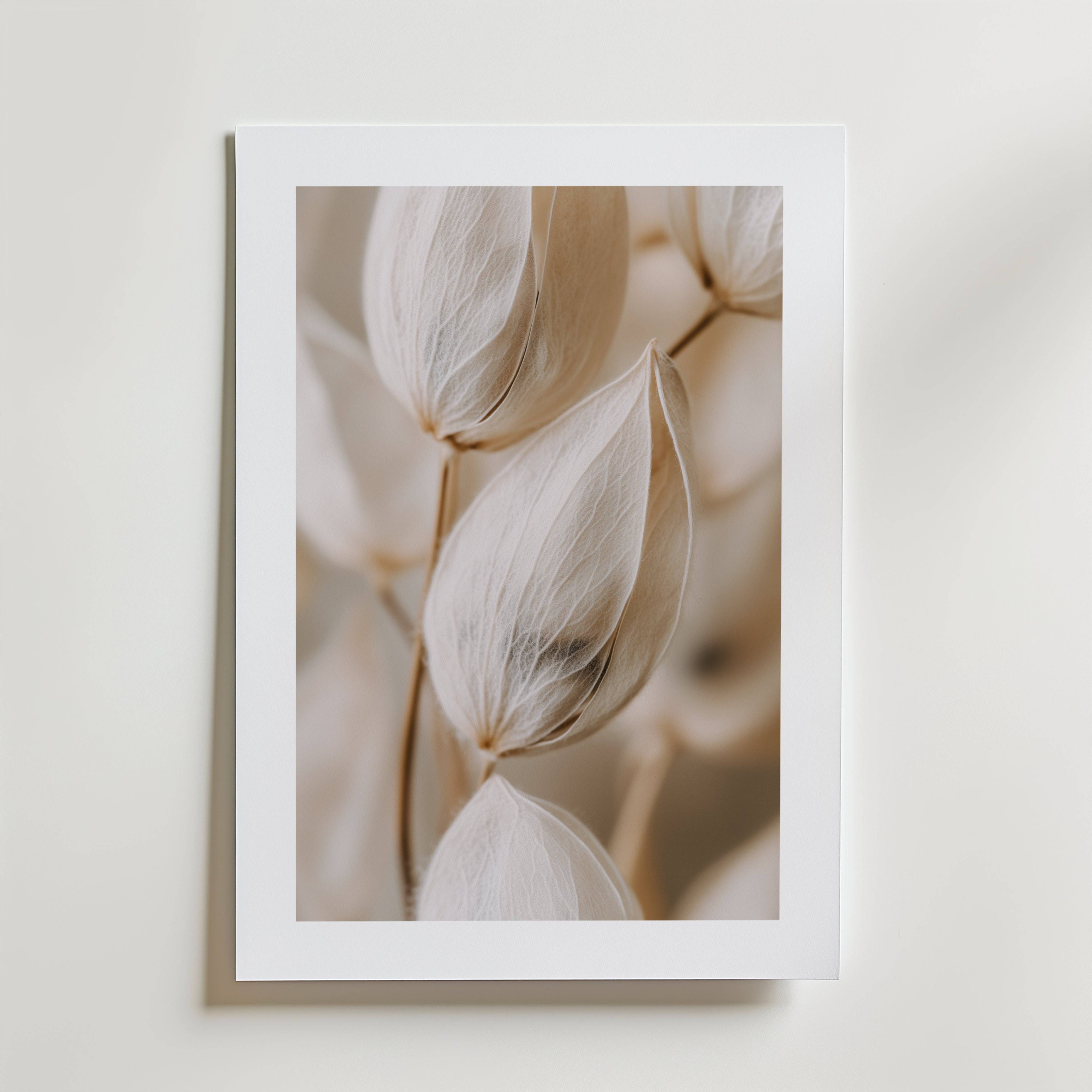 Silken Seeds Elegance Poster - Fine Art Poster 21x30 cm