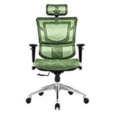 kontorsstol Ergonomisk datorstol Kontorsstol Hemspel Spelstol Bekvämt stillasittande ryggstöd Boss Swivel Chair Stol (Färg: Grön, Storlek: One Size) behövs Bekväm jubileum Chasing the Dawn