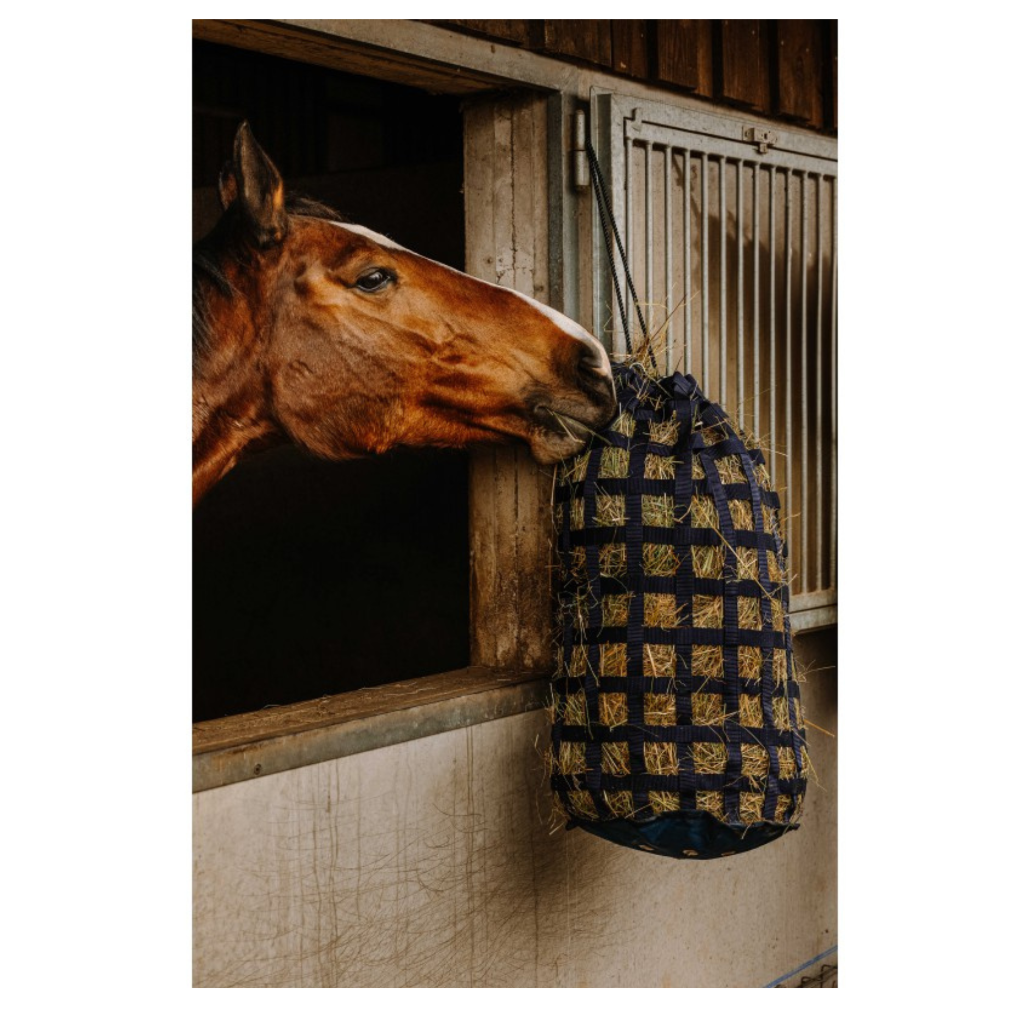 Hippotonic - Høpose - Navy.