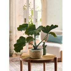 Next Green Artificial Palm Plant In Woven Basket
