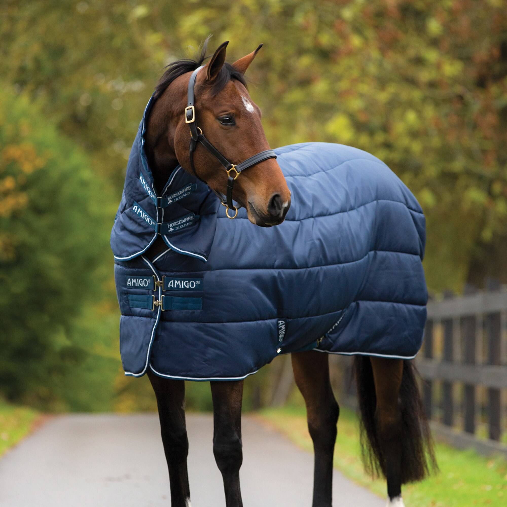 Amigo Insulator Plus 350g - Marin, Horseware.