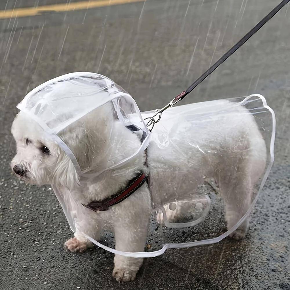 Genomskinlig Vattentät Hundregnrock, Regnrock för Små och Medelstora Hundar, Teddy och Bichon Frisé Hund för Regniga Dagar Promenader