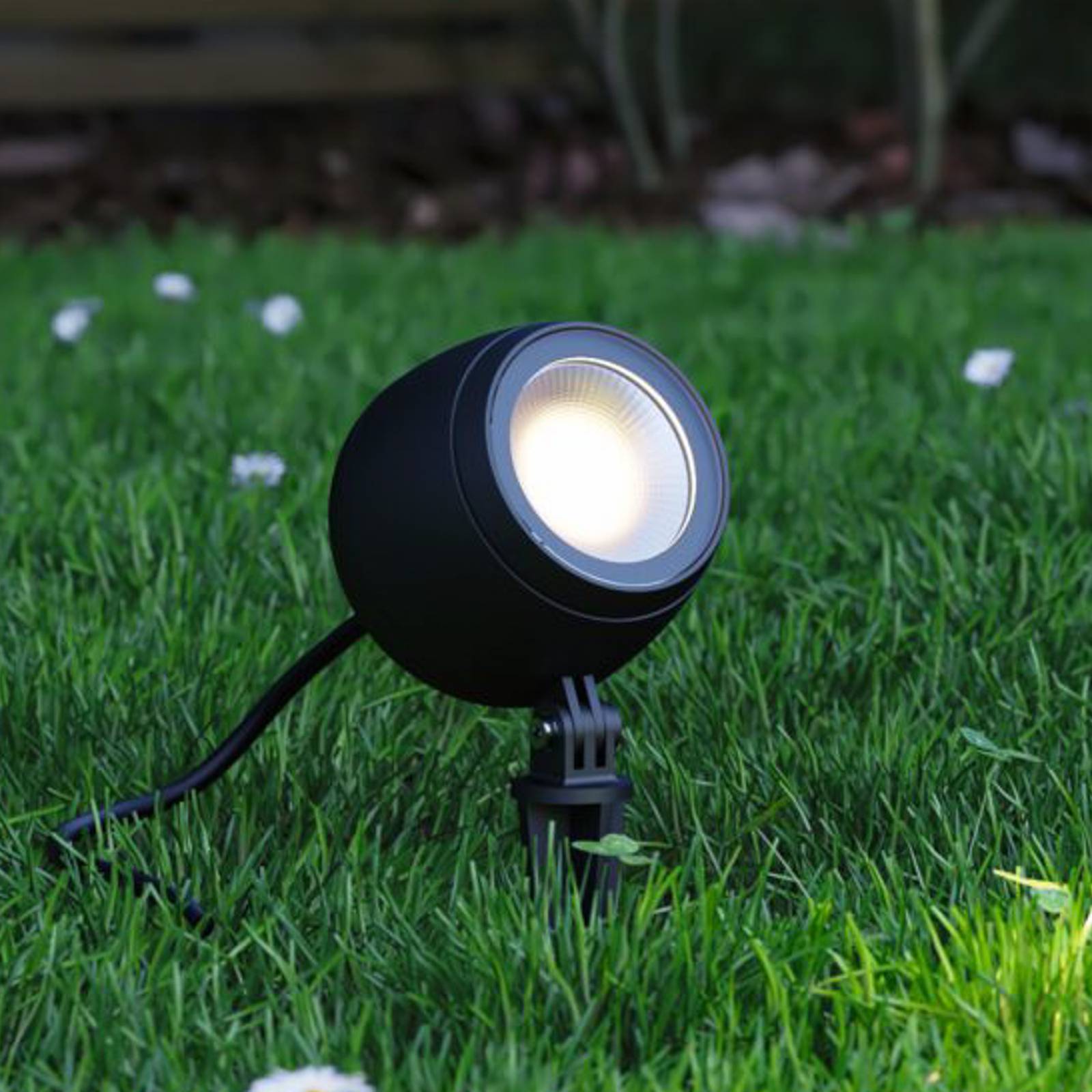 Paulmann Plug & Shine LED-spot Kikolo, 3 000 K, 20°, aluminium dimbar, Svart, Syntetmaterial