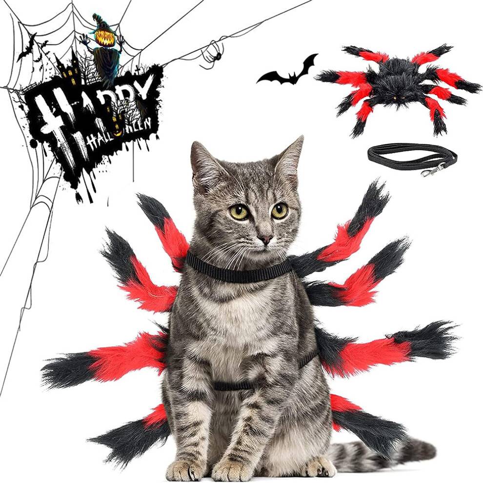 Kæledyr Halloween Cosplay med flagermusvinger, justerbart design for komfortable materialer, djævlehat, vampyrkappe, katteløvemankehat, sort (med