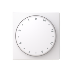 ABB 2CKA001753A9986 Centrumplatta